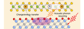 2D-PRINTABLE publication on ultrafast charge and energy transfer in plasmonic MXene-TMD Heterostructures
