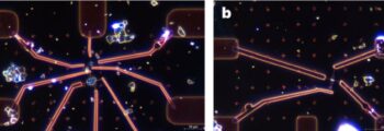 Electrical characterization of materials derived via Liquid Phase Exfoliation