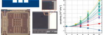 2D-PRINTABLE publication on Piezoresistive Platinum Diselenide Pressure Sensors